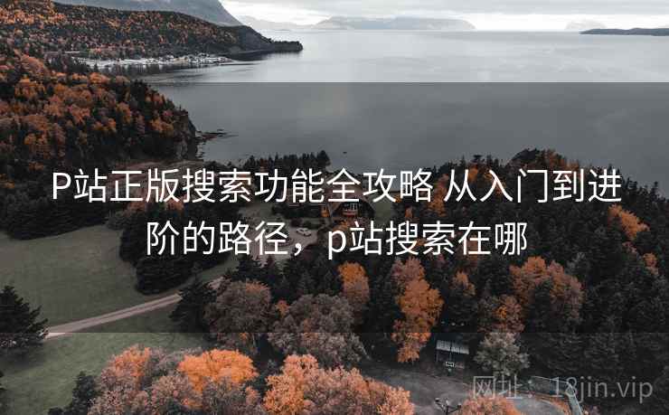 P站正版搜索功能全攻略 从入门到进阶的路径，p站搜索在哪