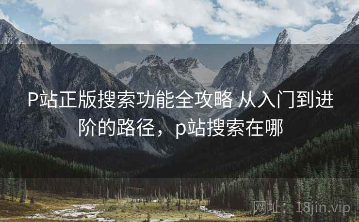 P站正版搜索功能全攻略 从入门到进阶的路径，p站搜索在哪