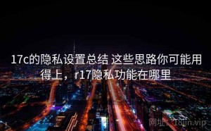 17c的隐私设置总结 这些思路你可能用得上，r17隐私功能在哪里