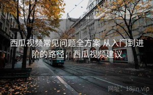西瓜视频常见问题全方案 从入门到进阶的路径，西瓜视频建议