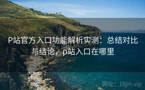 P站官方入口功能解析实测：总结对比与结论，p站入口在哪里