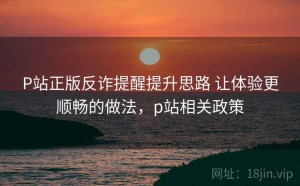 P站正版反诈提醒提升思路 让体验更顺畅的做法，p站相关政策