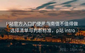 P站官方入口的使用指南值不值得做 选择清单与判断标准，p站 intro