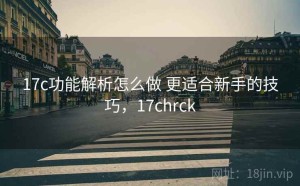 17c功能解析怎么做 更适合新手的技巧，17chrck