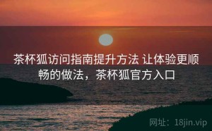 茶杯狐访问指南提升方法 让体验更顺畅的做法，茶杯狐官方入口