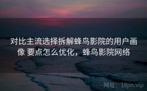 对比主流选择拆解蜂鸟影院的用户画像 要点怎么优化，蜂鸟影院网络