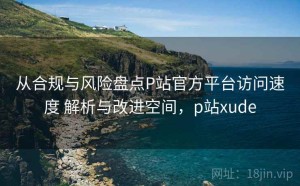 从合规与风险盘点P站官方平台访问速度 解析与改进空间，p站xude