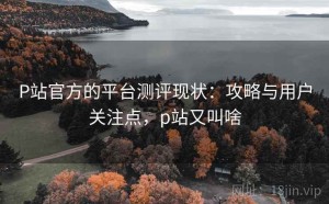 P站官方的平台测评现状：攻略与用户关注点，p站又叫啥