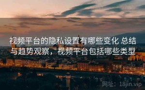 视频平台的隐私设置有哪些变化 总结与趋势观察，视频平台包括哪些类型