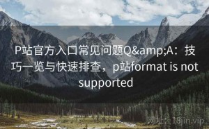 P站官方入口常见问题Q&A：技巧一览与快速排查，p站format is not supported