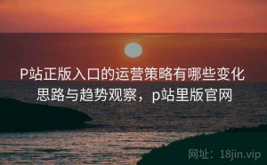 P站正版入口的运营策略有哪些变化 思路与趋势观察，p站里版官网