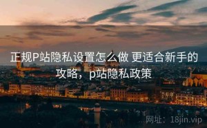 正规P站隐私设置怎么做 更适合新手的攻略，p站隐私政策