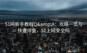 51网新手教程Q&A：攻略一览与快速排查，51上网安全吗