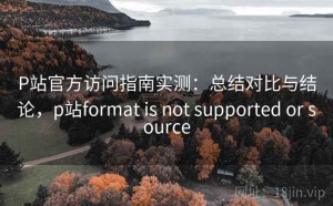 P站官方访问指南实测：总结对比与结论，p站format is not supported or source