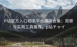 P站官方入口相关平台测评合集：观察与实用工具推荐，p站チャイ