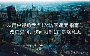从用户视角盘点17c访问速度 指南与改进空间，访问限制17+是啥意思