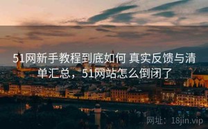 51网新手教程到底如何 真实反馈与清单汇总，51网站怎么倒闭了