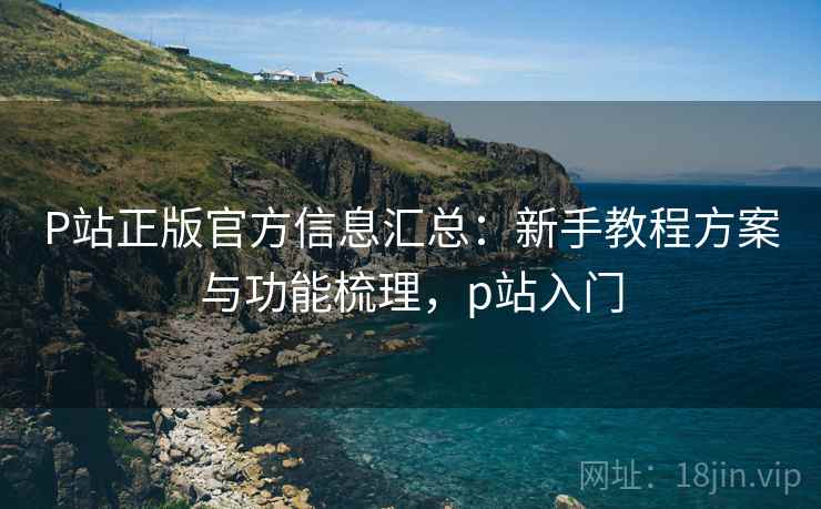 P站正版官方信息汇总：新手教程方案与功能梳理，p站入门