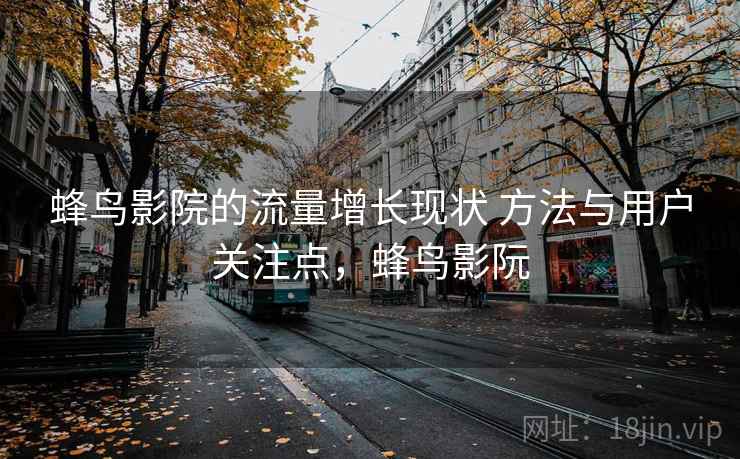 蜂鸟影院的流量增长现状 方法与用户关注点，蜂鸟影阮