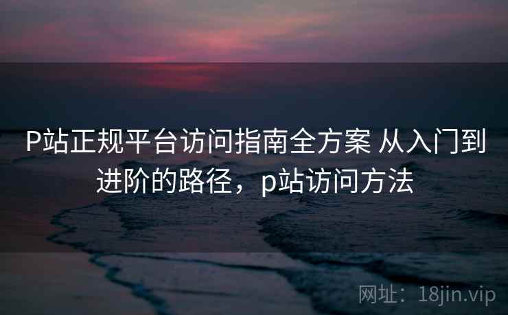 P站正规平台访问指南全方案 从入门到进阶的路径，p站访问方法