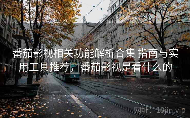 番茄影视相关功能解析合集 指南与实用工具推荐，番茄影视是看什么的