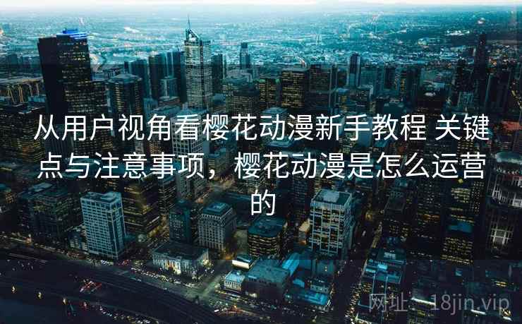 从用户视角看樱花动漫新手教程 关键点与注意事项，樱花动漫是怎么运营的