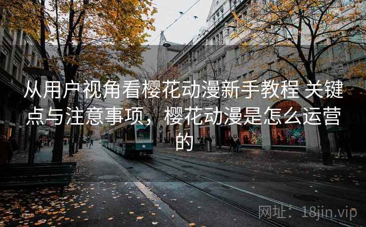 从用户视角看樱花动漫新手教程 关键点与注意事项，樱花动漫是怎么运营的