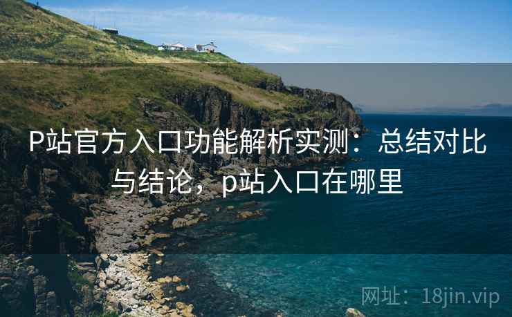 P站官方入口功能解析实测：总结对比与结论，p站入口在哪里