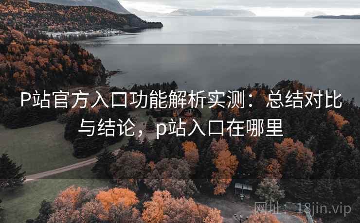 P站官方入口功能解析实测：总结对比与结论，p站入口在哪里