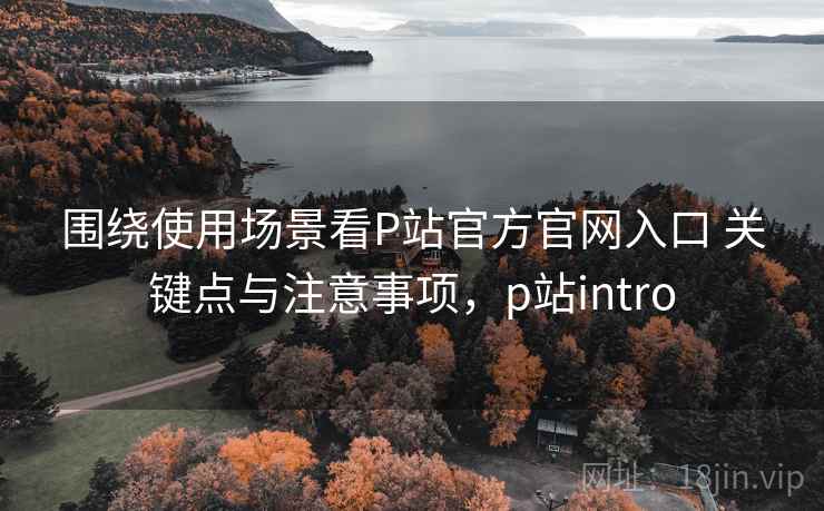 围绕使用场景看P站官方官网入口 关键点与注意事项，p站intro